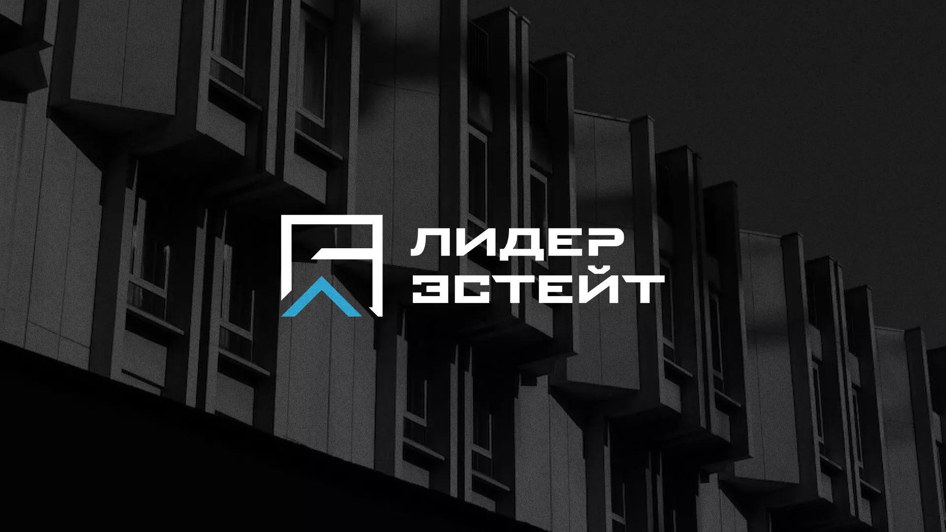 Разработка логотипа агентства недвижимости «Лидер Эстейт» в Юрьев-Польском